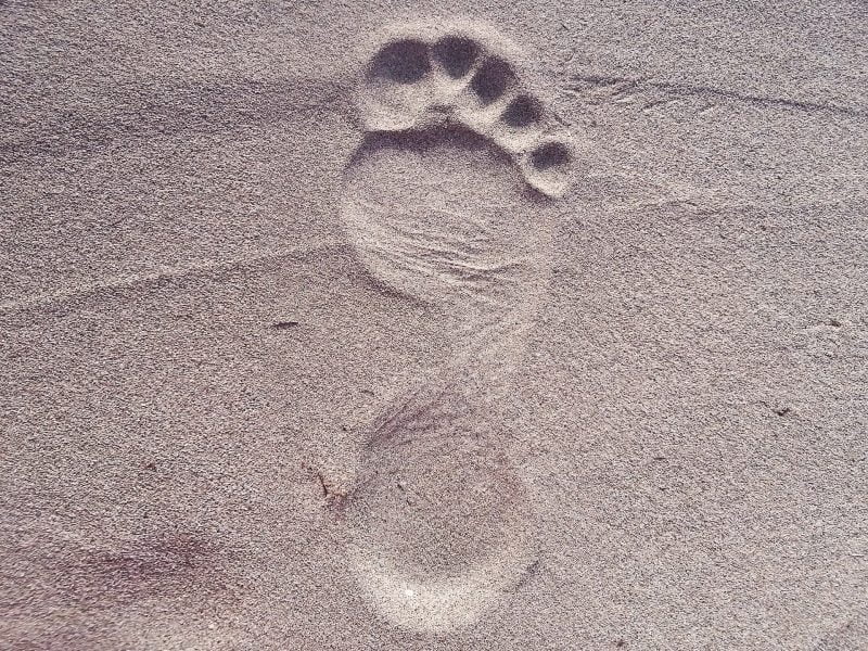 foot print