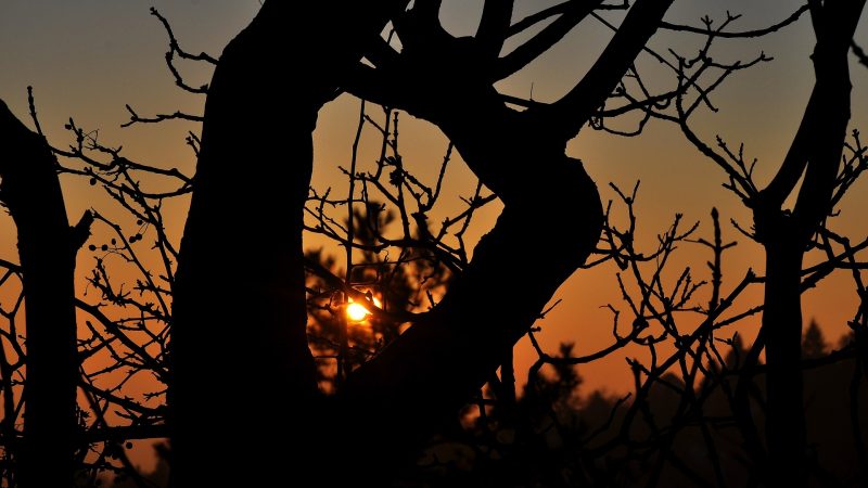nightfall